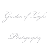 Garden of Light  
Photography